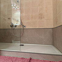 DUSCHMAX-Umbau-Wanne-zur-Dusche-1-Tag-30455-Nachher-10-IMG_3445-2000x2000-Detail